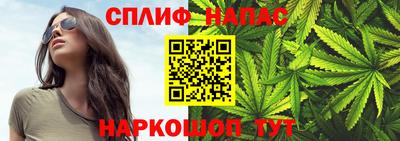 дмт Ставрополь