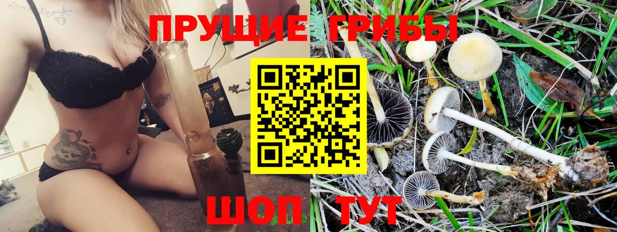 Галлюциногенные грибы мухоморы  Вход с VPN  Прохладный  Галлюциногенные грибы Psilocybine cubensis 